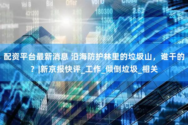 配资平台最新消息 沿海防护林里的垃圾山，谁干的？|新京报快评_工作_倾倒垃圾_相关
