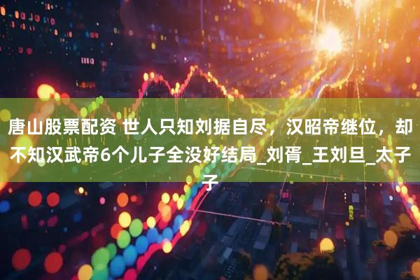唐山股票配资 世人只知刘据自尽，汉昭帝继位，却不知汉武帝6个儿子全没好结局_刘胥_王刘旦_太子