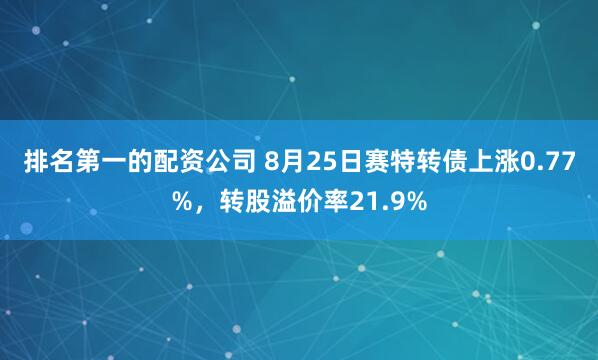 排名第一的配资公司 8月25日赛特转债上涨0.77%，转股溢价率21.9%