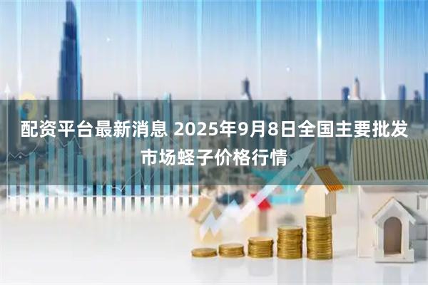 配资平台最新消息 2025年9月8日全国主要批发市场蛏子价格行情