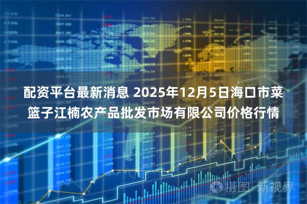 配资平台最新消息 2025年12月5日海口市菜篮子江楠农产品批发市场有限公司价格行情